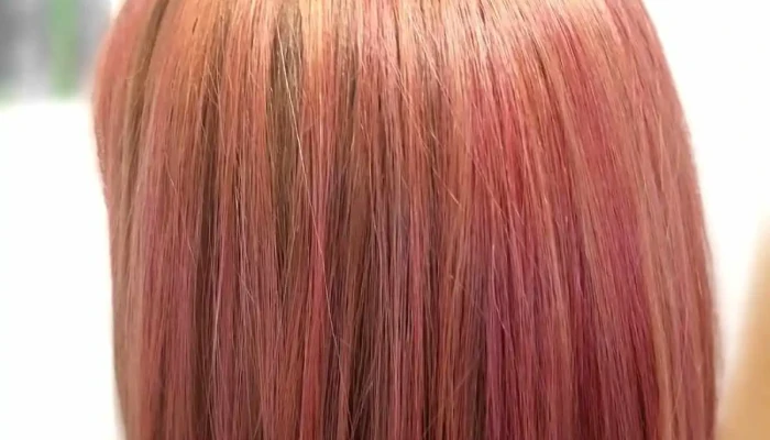 Estética Calas - Ruta 101 Y