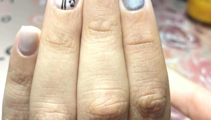 Estetica Integral Del Propietario - Paysandú