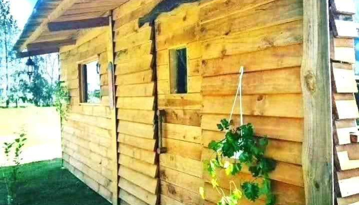 Estilo Campo Juanico -  Todas - Juanicó