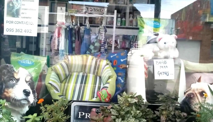 Estilo Canino - 90200 Las Piedras