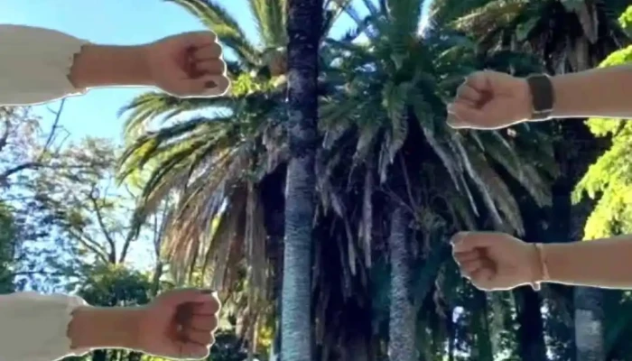 Estilo Negocios Inmobiliarios -  Videos - Montevideo