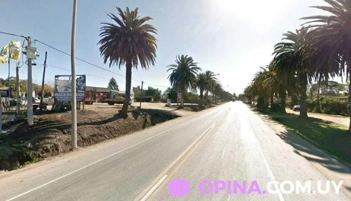 Estmen S.r.l. - 80000 San José De Mayo