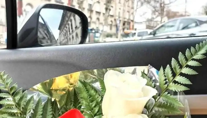 Estudio Janet Rosenchtein - Montevideo