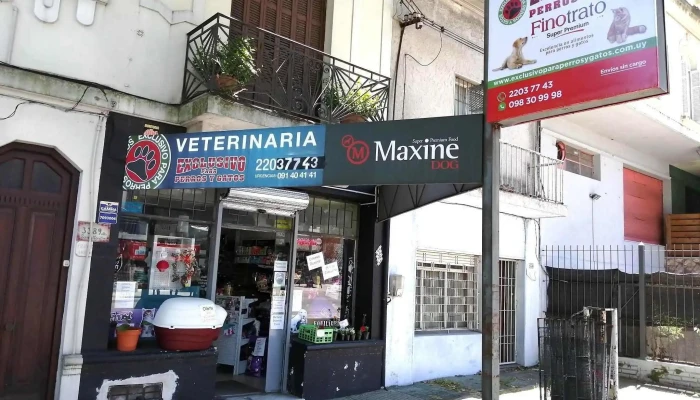 Exclusivo para Perros y Gatos - 11700 Montevideo