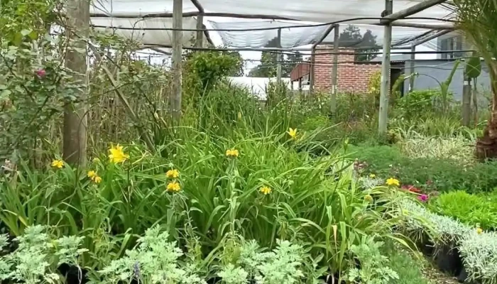 Explora Vivero -  Del Propietario - San Carlos