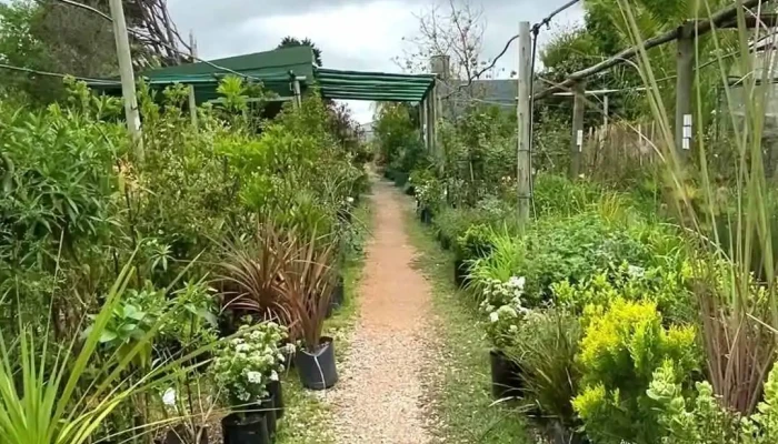 Explora Vivero -  Videos - San Carlos