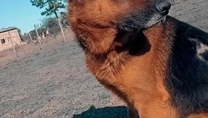 Facchin Cejas -  Paisaje - San Félix