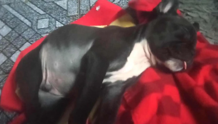 Facchin Cejas -  San Felix - San Félix