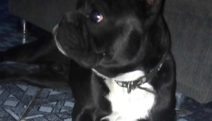 Facchin Cejas -  Ubicacion - San Félix