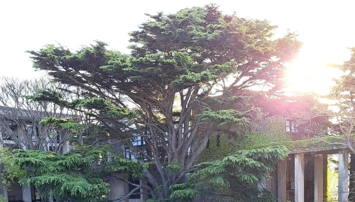 Facultad De Arquitectura Diseno Y Urbanismo Sitio Web - Montevideo