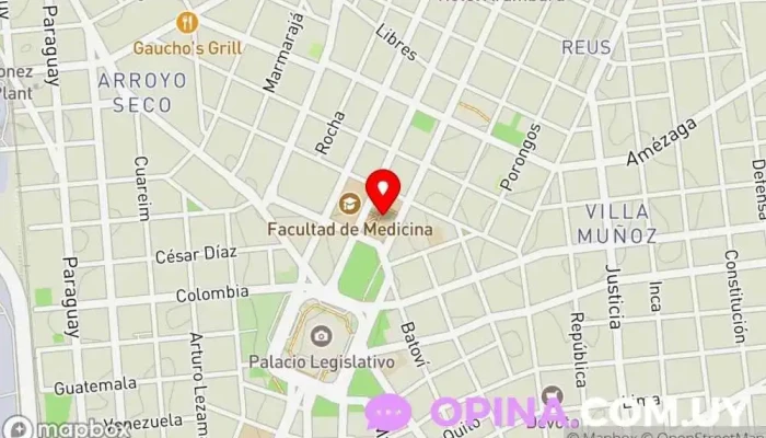 mapa de Facultad de Química | UDELAR Facultad de química, Universidad pública en Montevideo