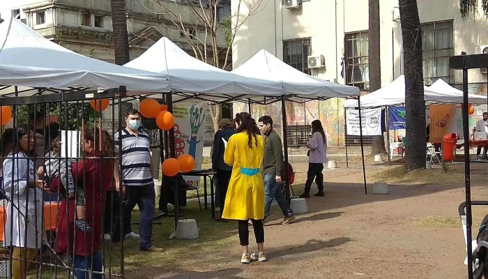 Facultad De Quimica Udelar Precios - Montevideo