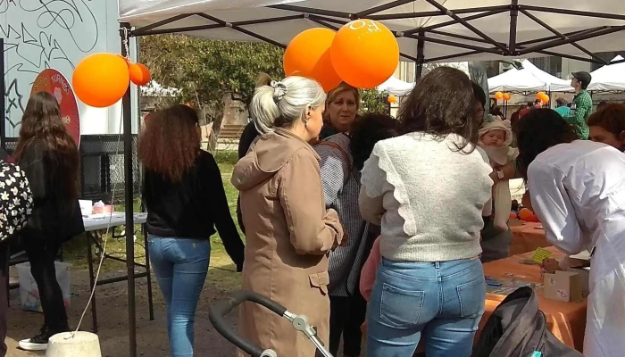 Facultad De Quimica Udelar Telefono - Montevideo