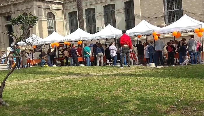 Facultad De Quimica Udelar Videos - Montevideo