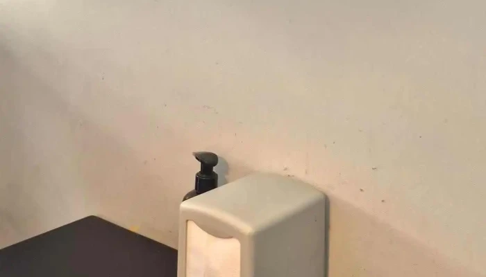 Fans Cafe Recientes - Montevideo