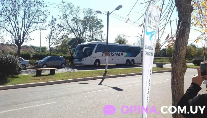 Farmacia Cardal -  Telefono - Cardal