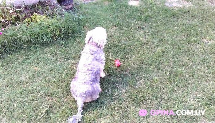 Fede Dafo Videos - Barros Blancos