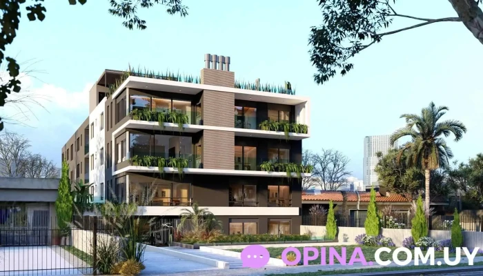 Feel Malvin - Montevideo