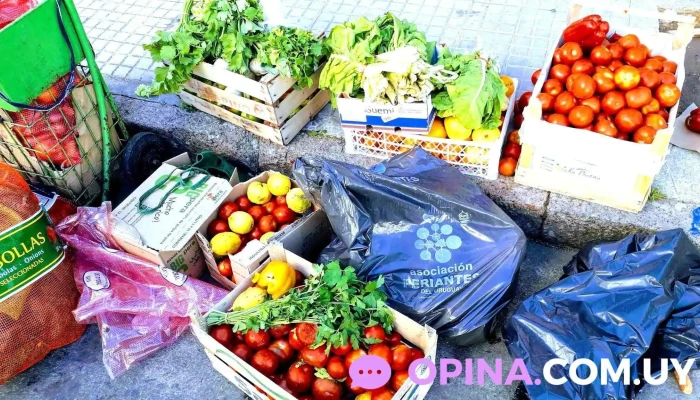 Feria De Frutas Y Verduras - Democracia