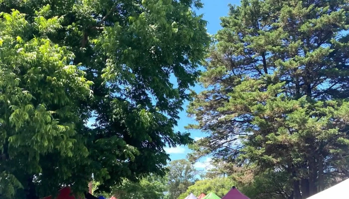 Feria Las Toscas -  Donde - Las Toscas