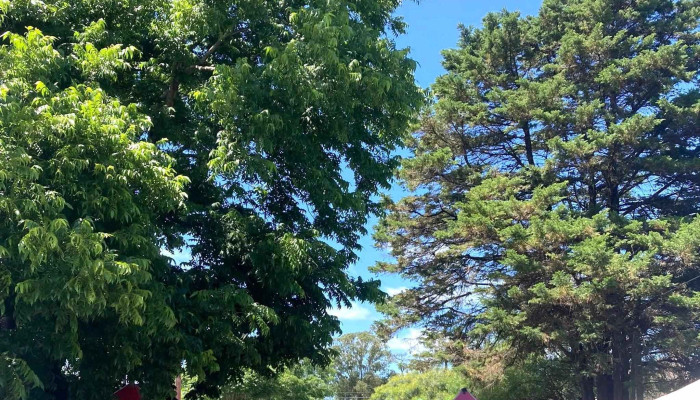 Feria Las Toscas -  Las Toscas - Las Toscas