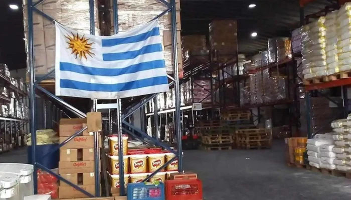 Finesa - 15000 Ciudad De La Costa