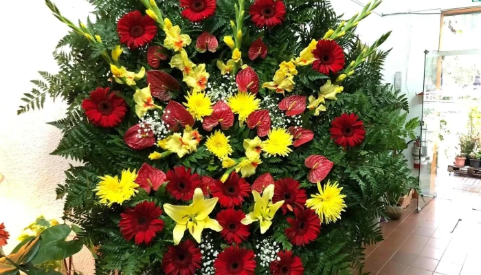 Fiore Del Yi -  Donde - Santa Bernardina