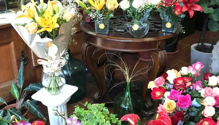 Fiore Del Yi -  Rosa - Santa Bernardina