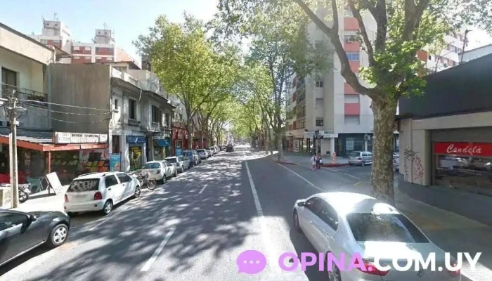 Fisioterapia Alternativa - Montevideo