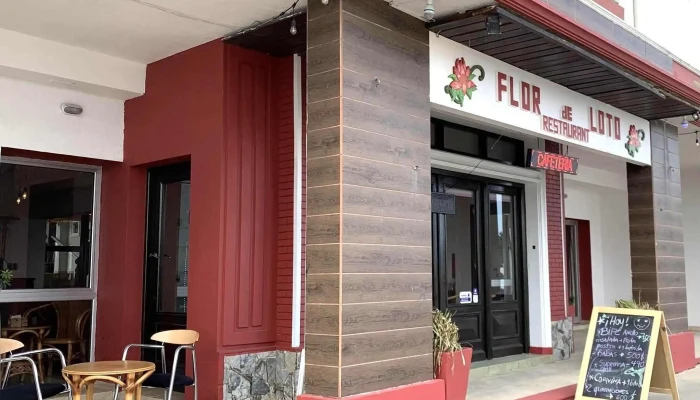 Flor De Loto -  Comentario 8 - Piriápolis