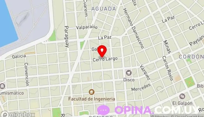 mapa de Flor Negra Distribuciones Papelería, Mayorista en Montevideo