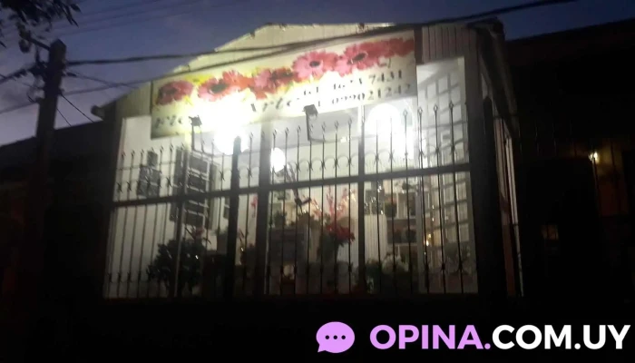 Flor Y Arte -  Zona - Rivera