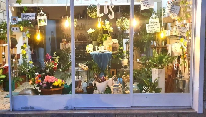 Floreria Lis - José Batlle Y Ordoñez