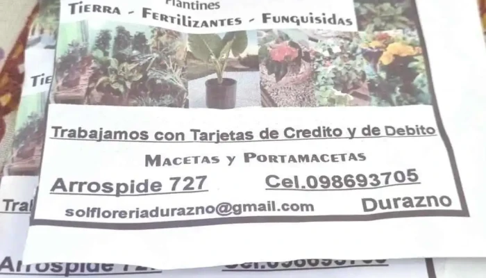 Floreria Y Vivero Sol Abierto Ahora - Durazno