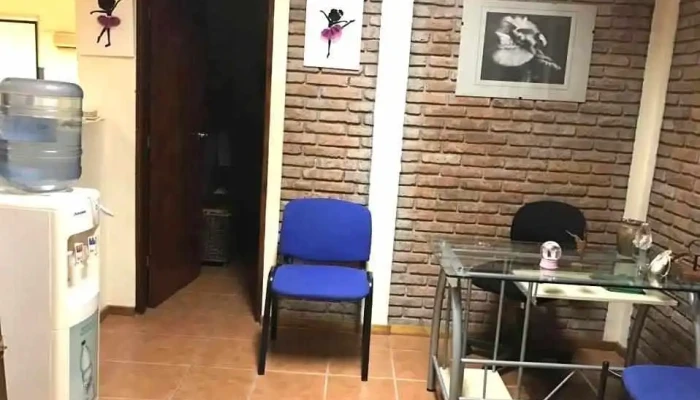 Florida Ballet Estudio -  Del Propietario - Florida