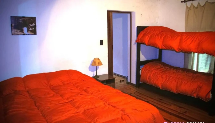 Flower Island -  Habitaciones - Montevideo