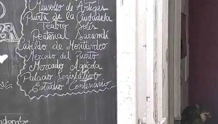 Flower Island -  Videos - Montevideo