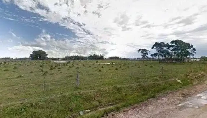 Foca -  Opiniones - Rio Branco