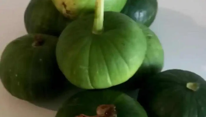 Food Home Nature -  Del Propietario - Rosario