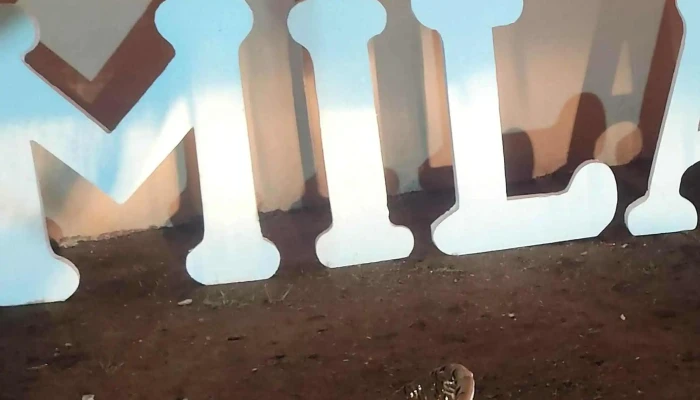 Forest Los Cerrillos -  Comentario 6 - Los Cerrillos