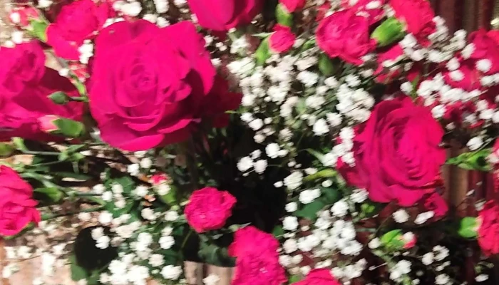 Forest Los Cerrillos -  Comentario 9 - Los Cerrillos