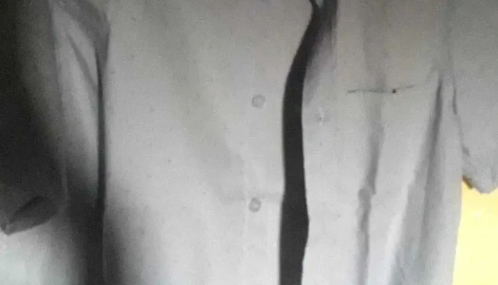 Forum Industries Co   Colon Interior - Montevideo