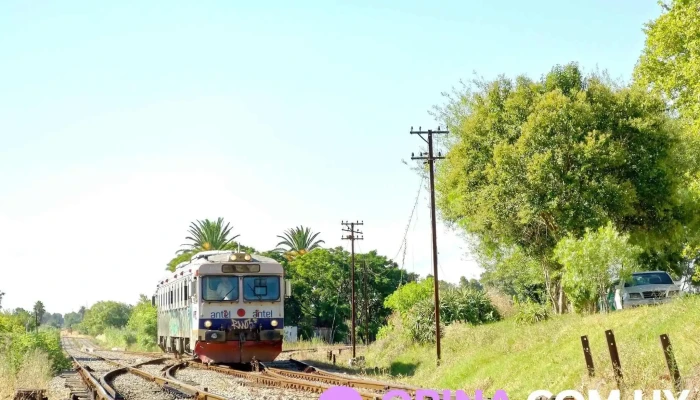 Fraccionamiento Cardenales Ii -  De Los Visitantes - Progreso