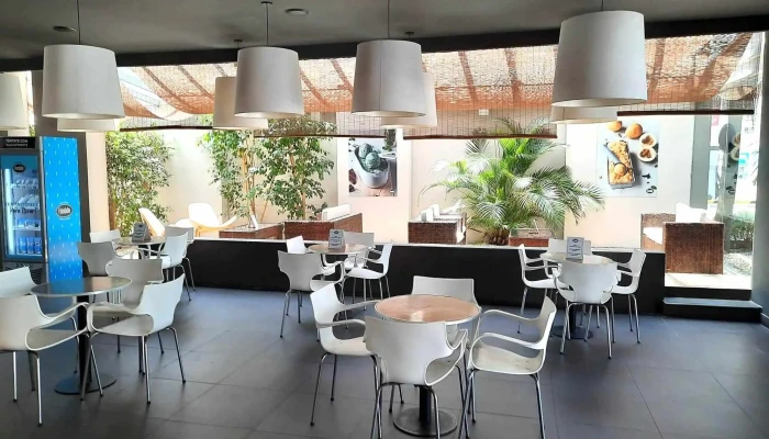 Freddo -  Ambiente - Maldonado