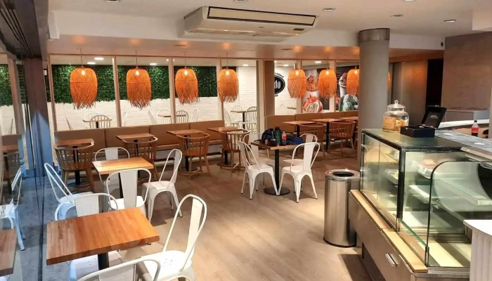 Freddo -  Ambiente - Punta del Este