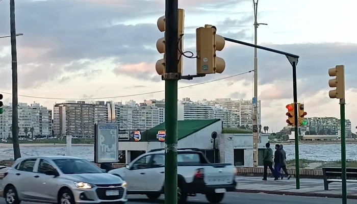 Freddo -  Comentario 4 - Montevideo