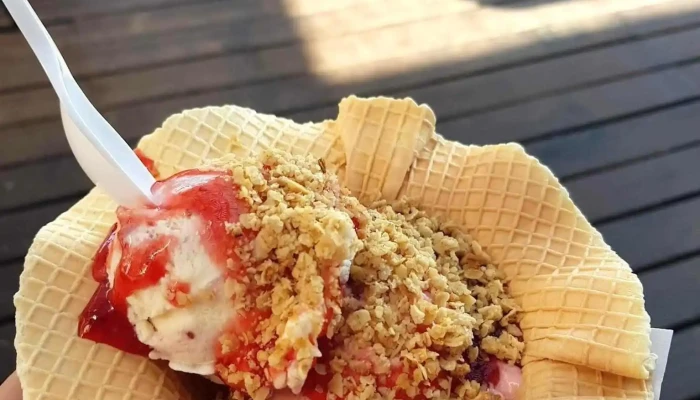 Freddo -  Comidas Y Bebidas - Maldonado