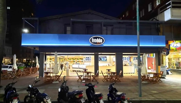 Freddo -  Del Propietario - Punta del Este