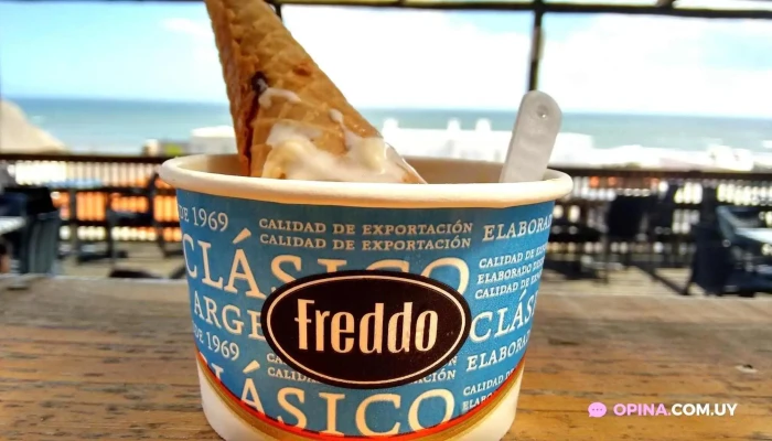 Freddo -  Helado - Maldonado