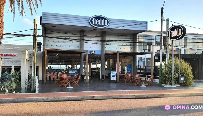 Freddo -  Todo - Maldonado